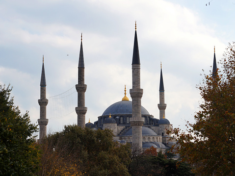 the minarets of the blue mosque of istanbul behind the trees.