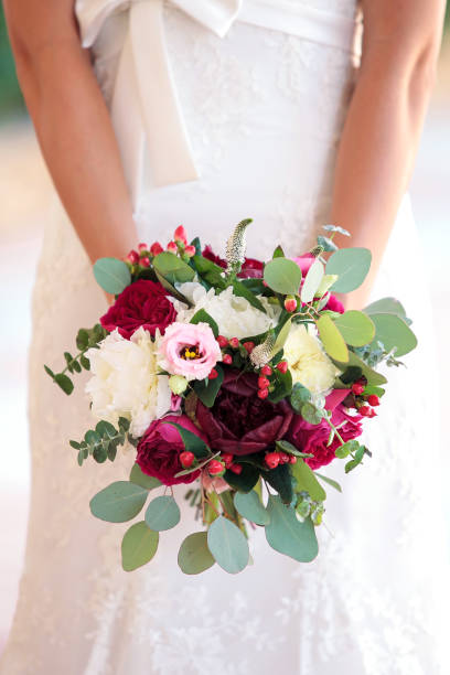 Bride wedding bouquet of white and burgundy peony flowers Bride holding beautiful wedding bouquet of white and burgundy peony flowers bride holding bouquet stock pictures, royalty-free photos & images