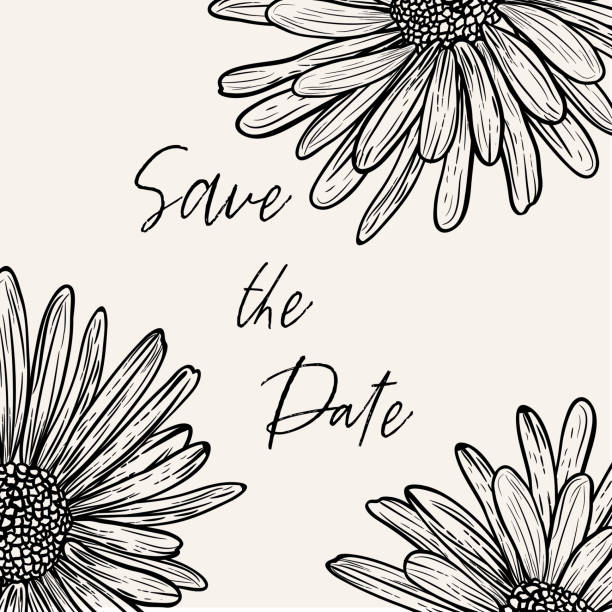 Hand Drawn Daisies Invitation Background With Save The date Phrase - ilustração de arte vetorial