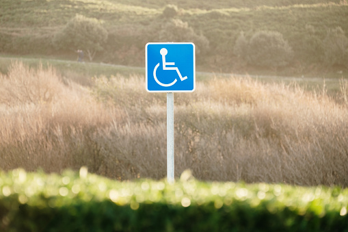 A disabled parking sign by a natural area