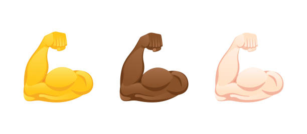 ilustrações de stock, clip art, desenhos animados e ícones de flexed biceps icons. strong muscle hands of various skin tones gesture emoji illustration. - human muscle human arm muscular build body building