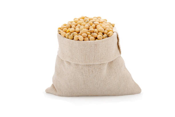 istock Soybeans in cloth bag isolated on white background with clipping path 1456195908