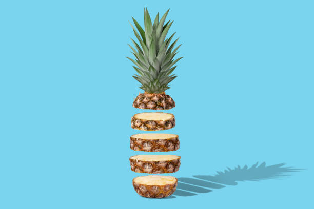 istock Fresh juicy pineapple in flight cut into rings. On a blue background. 1456196558