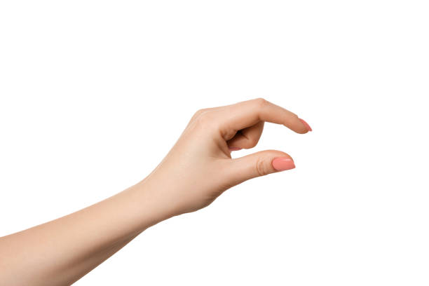 istock Female hand as if holding something or showing size, isolate empty hands. 1456196983