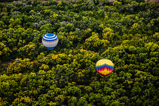 Two hot air balloons flying over the tree tops.