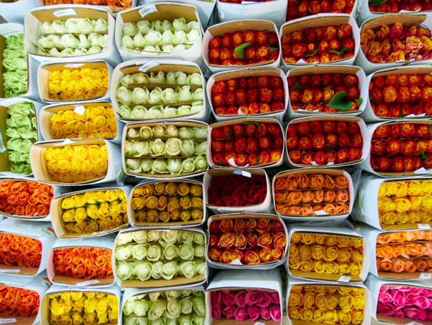 Flowers for sale in a special cold room with air conditioning. Refrigerator for flowers