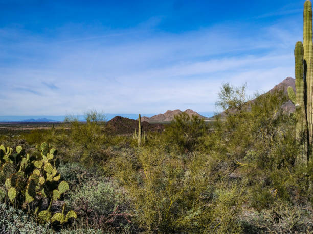 istock Desert Scene at Picacho Peak State Park in Arizona 1456205942