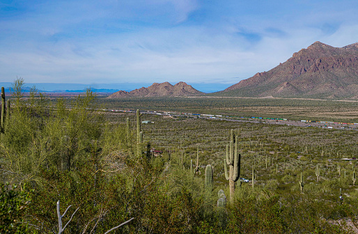 Desert Scene at Picacho Peak State Park in Arizona