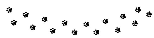 Print Paw dog on white background. Leg dog or cat. Simple illustration of puppy leg. pics of a wildcat paw prints stock illustrations