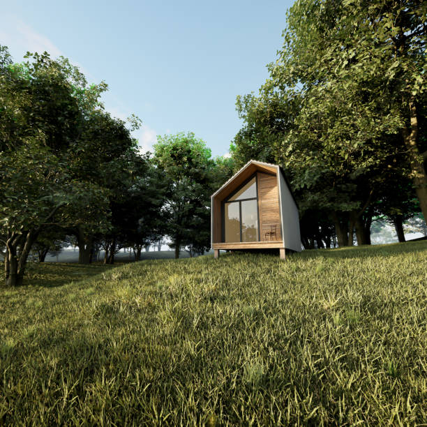 istock Cabin, house in the woods 3d rendering 1456207587