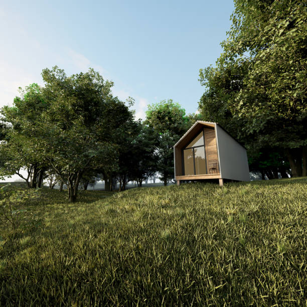 istock Cabin, house in the woods 3d rendering 1456207699