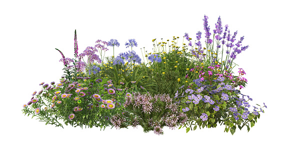 3d render Shrubs and flower on a white background