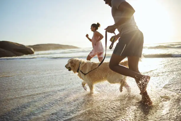 Photo of Running, dog and beach with a black couple and pet in the water while on holiday or vacation by the coast. Sand, travel and animal with a man, woman and canine in the ocean or sea during summer