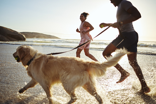 Exercise, running and couple with their dog on the beach for a cardio workout for sport training. Fitness, sports and healthy man and woman doing a wellness workout with their pet by the ocean or sea
