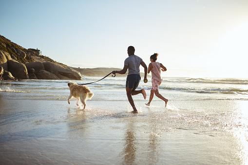 Exercise, couple and dog at the beach for running, training and fitness, cardio and mockup space. Family, wellness and pet workout at sunrise, ocean and water run while bonding with their labrador