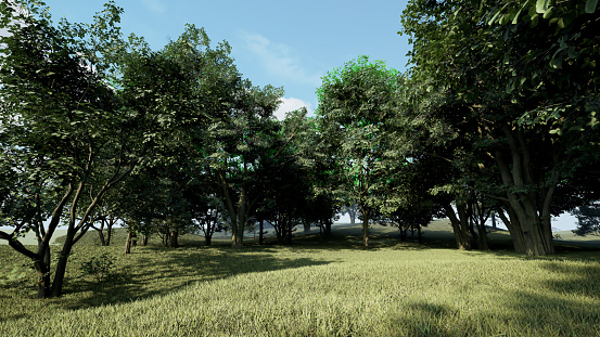 3D rendering of a woodland forest