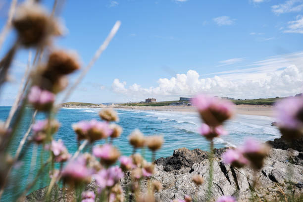 Views across Fistral Beach, Newquay, Cornwall on a bright sunny June day. stock photo