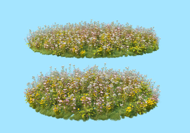 istock 3D render Flower Garden on  blue background 1456213070