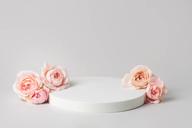 istock Empty wide white podium and pink roses on light grey background. Minimal cosmetic template. Round showcase for product marketing. Abstract display or stage. Spa and beauty concept. Still life 1456214778