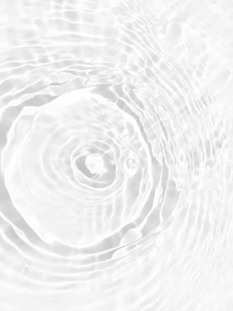 istock Defocus blurred transparent white colored clear calm water surface texture with splashes and bubbles. Trendy abstract nature background. Water waves in sunlight with copy space. White water shine 1456215177