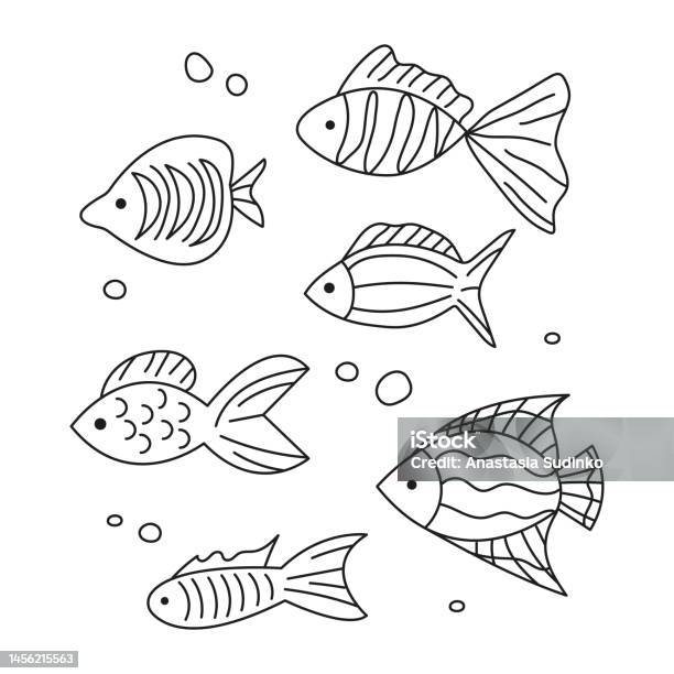 Simple Fish Contour Black Handdrawn Contour Childrens Set With Different Fish Stock ...