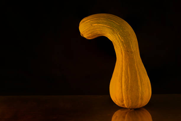 istock Pumpkin isolated, on black background. 1456216346