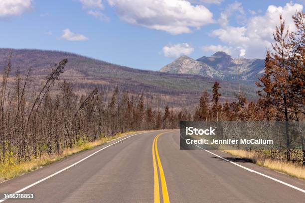 Road Through Wildfire Burned Rmnp Stock Photo - Download Image Now - Burnt, Color Image, Colorado