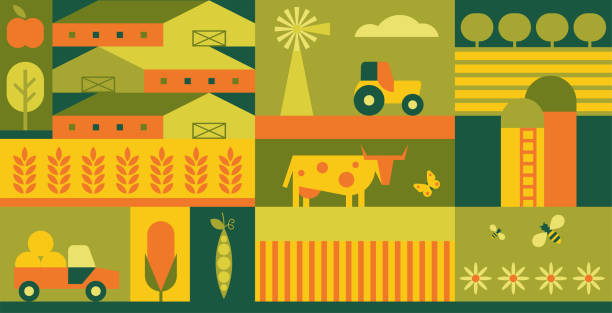 ilustraciones, imágenes clip art, dibujos animados e iconos de stock de diseño geométrico orgánico de granja y agricultura, banner ecológico minimalista con patrón cuadrado - farmer farm agriculture tractor