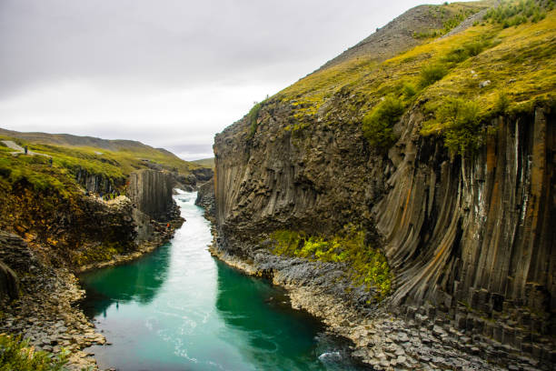 istock Studlafoss and Studlagil Basalt Rock Columns  Canyon Dramatic Landscape river in Jokuldalur, Iceland 1456220504