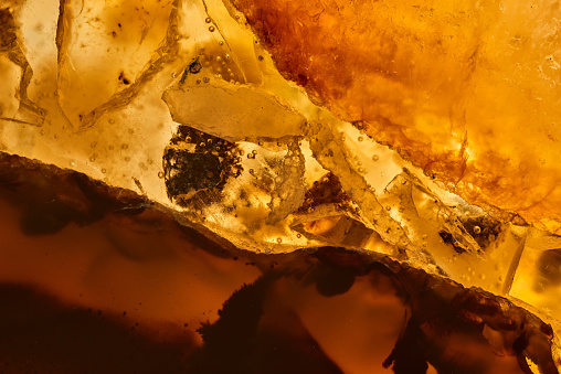 Amber in sun with inclusions\