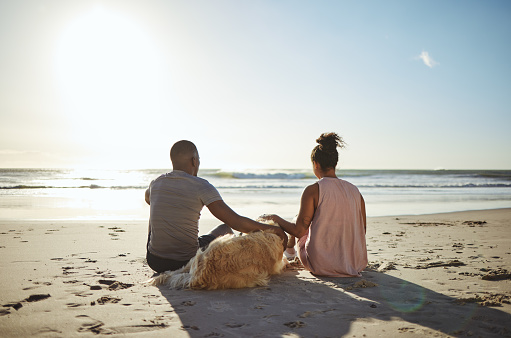 Relax, dog and happy with couple at beach for peace, summer and sunset vacation. Love, support and travel with man and woman with pet by ocean for nature, health and date or holiday together