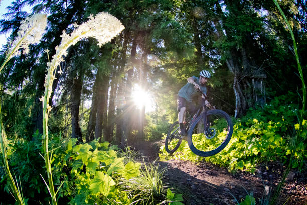Mountain Bike Rider stock photo