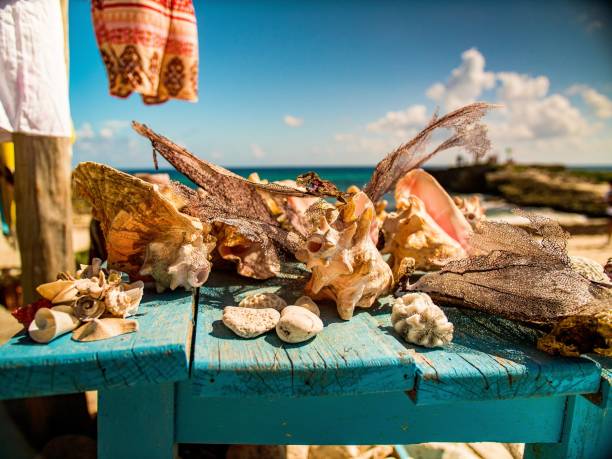 istock assortment of seashells and beach items 1456229720