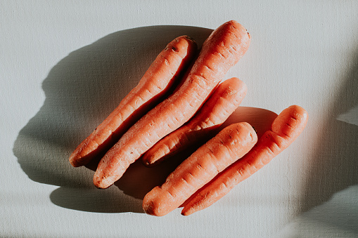 carrots growing among leaf in a garden with copy space at the left