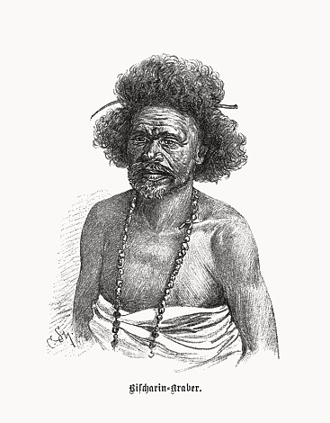 A Bishari man. The Bishari people are an ethnic group inhabiting Northeast Africa. Halftone print after a drawing, published in 1899.