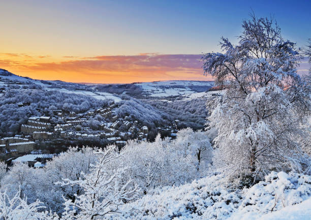 Winter scene