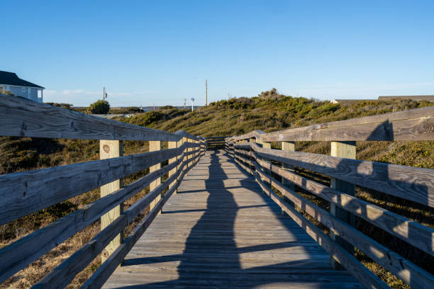 istock Beach Access Boardwalk Leading to Maritime Forest From The Ocean on the Crystal Coast in North Carolina 1456239754