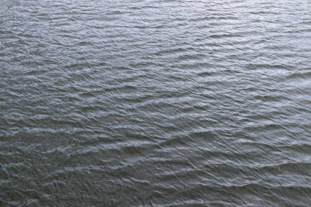 istock Waves on the surface of the water on a cloudy day. View from above 1456240123