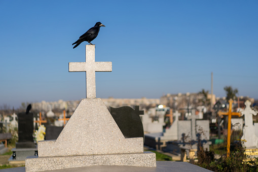 a black raven sits on the cross of a grave in a cemetery