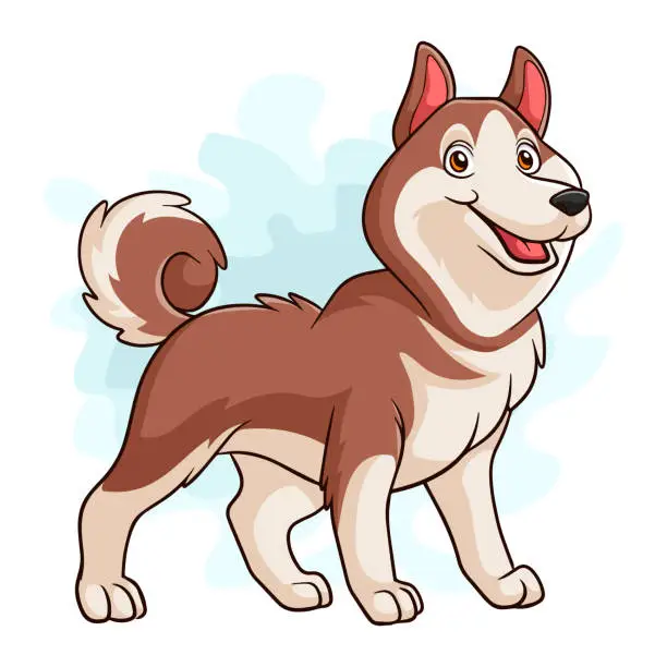 Vector illustration of Cartoon siberian husky on white background