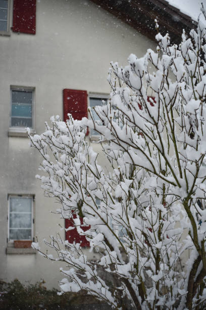 istock Winter in Switzerland 1456245316