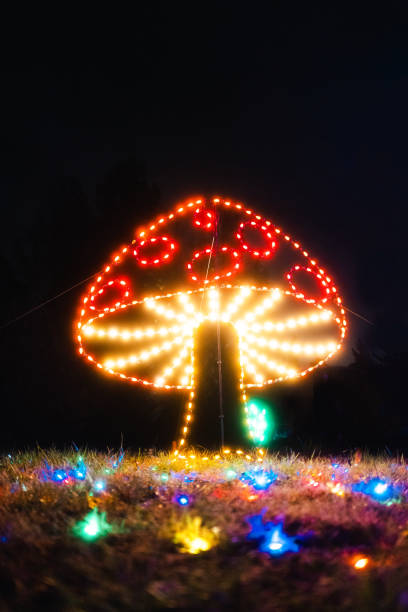 istock Mushroom Christmas Lights 1456246800