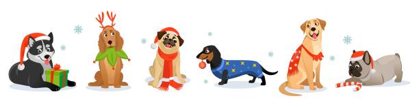 set von niedlichen weihnachts- und neujahrshunden in kostümen isoliert auf weißem hintergrund - christmas dachshund dog pets stock-grafiken, -clipart, -cartoons und -symbole