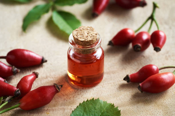 istock Red rosehip seed oil with fresh rose hips on a table 1456248863