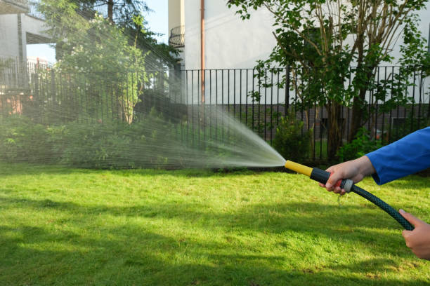 istock A boy from a hose watering the lawn 1456248947