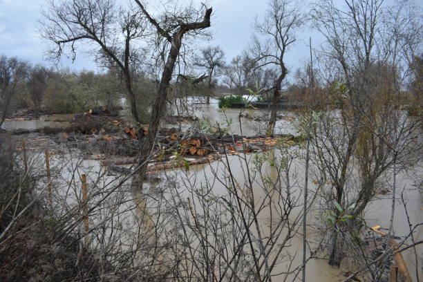 istock Flooded in California 1456249198