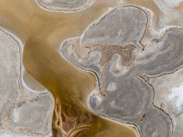 istock Natural shapes and textures on lake 1456249937