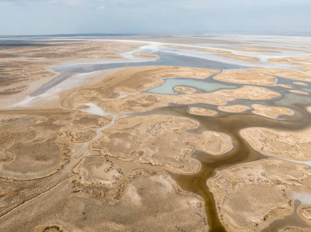 istock Natural shapes and textures on lake 1456250495