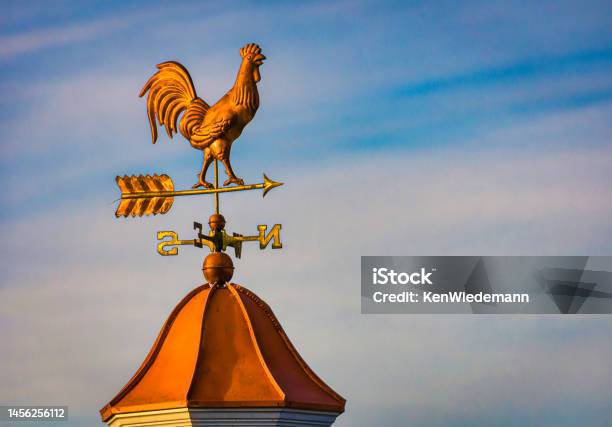 Morning Light On Rooster Weathervane Stock Photo - Download Image Now - Weather Vane, Animal Representation, Architectural Feature