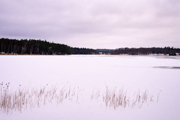 istock Snow covered field in Sweden 1456257417